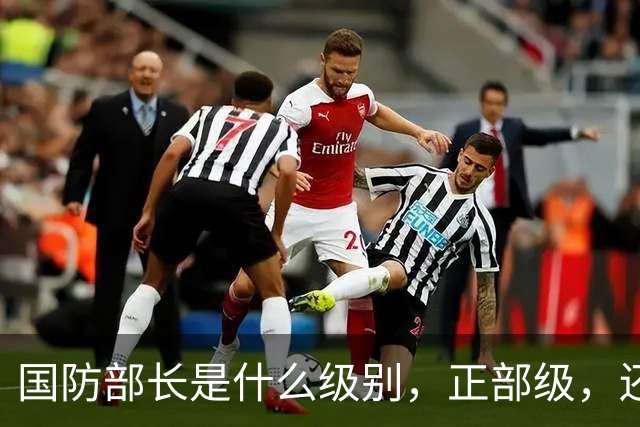 国防部长是什么级别，正部级，还是副国级？