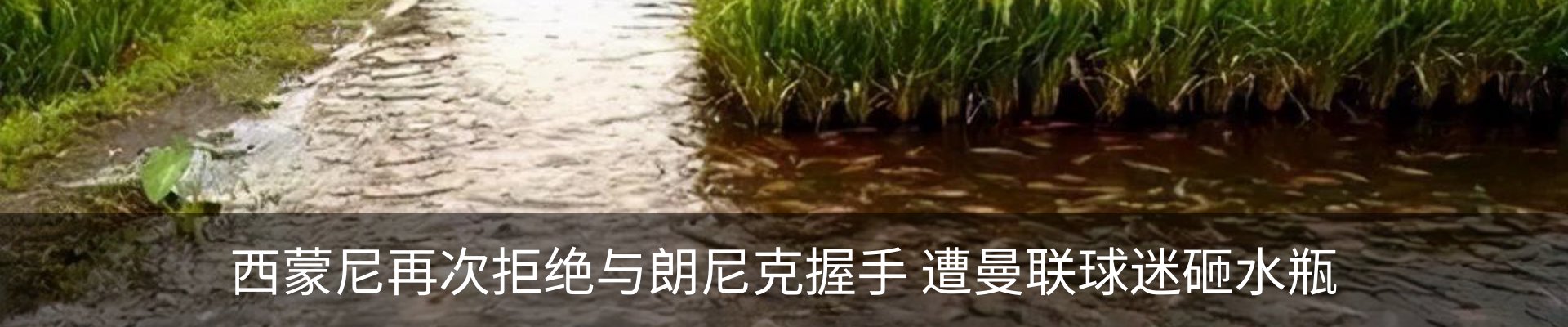 新闻中心